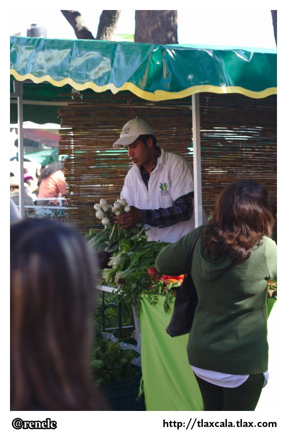 Productos del centro campesino