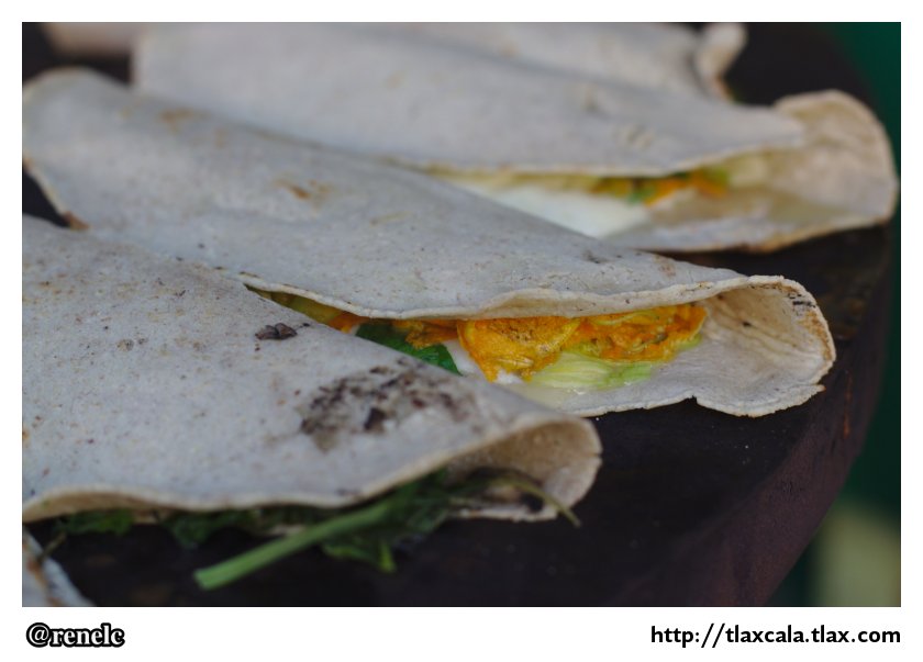 Quesadillas de flor de calabaza