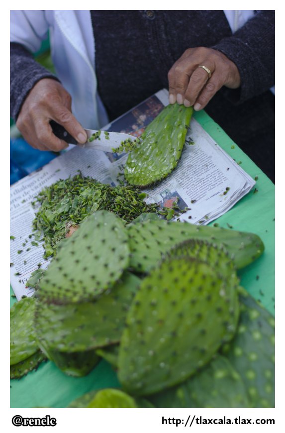 Nopales organicos