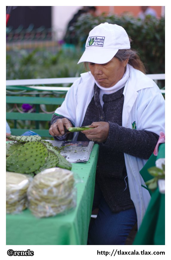 Octavo aniversario del Mercado Alternativo Tlaxcala - Foto