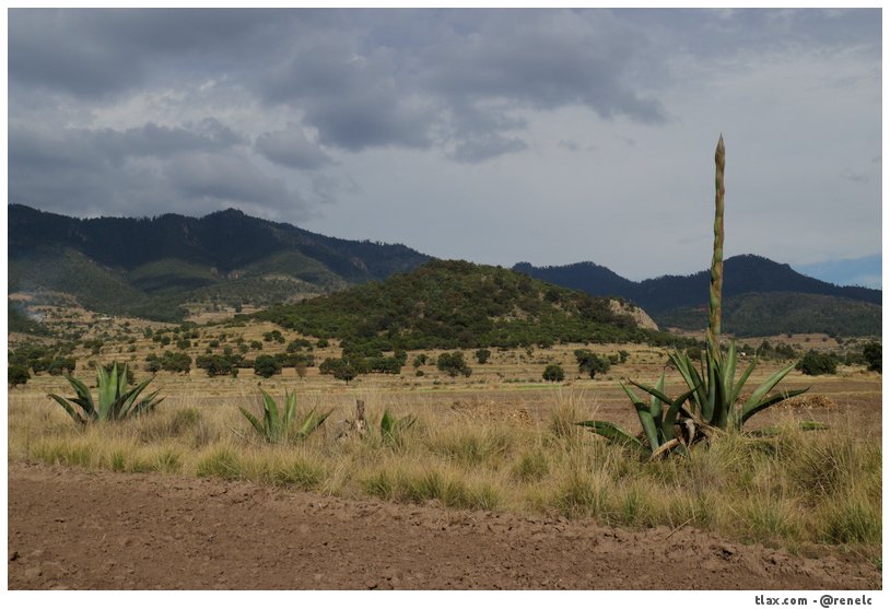 De Tlaxco a Atotonilco - Foto