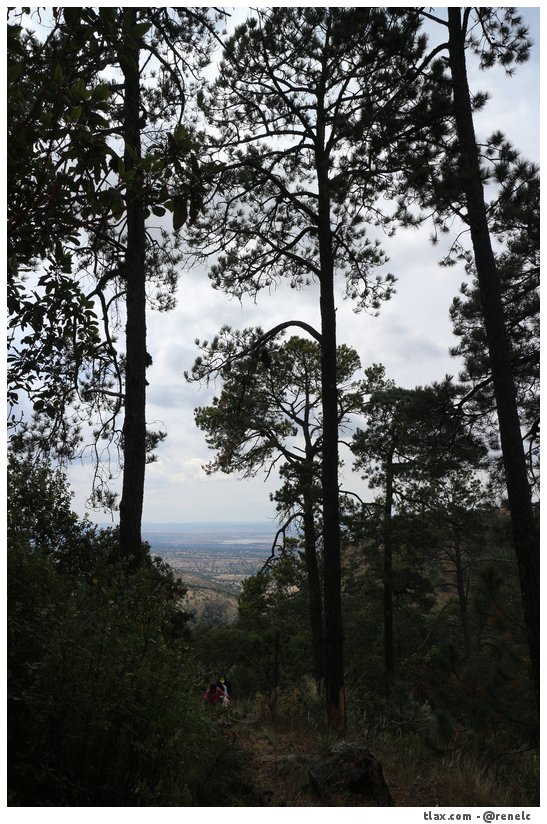 De Tlaxco a Atotonilco - Foto