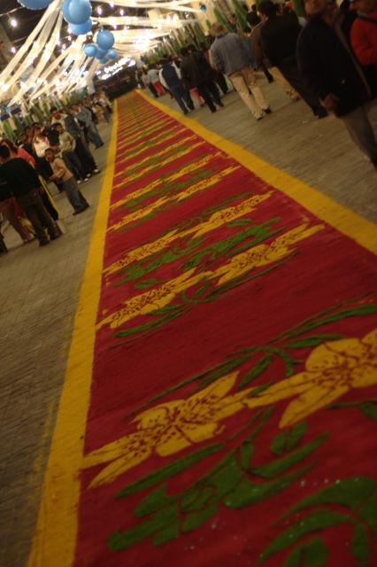 Las Alfombras :: Feria Huamantla 2009 - Foto