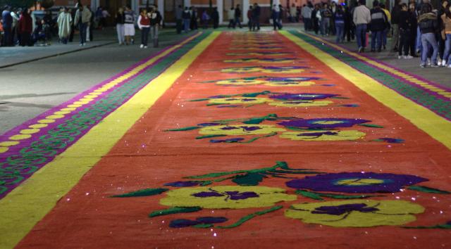 Las Alfombras :: Feria Huamantla 2009 - Foto